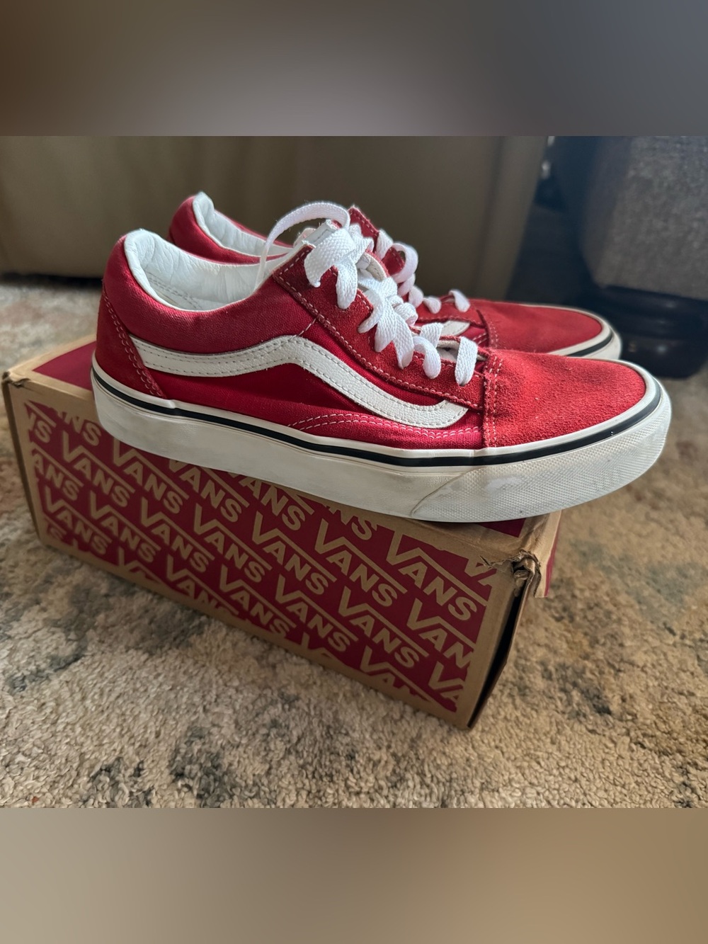 Vans Old Skool Shoes